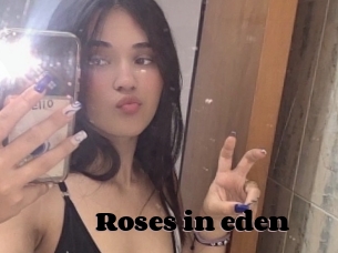 Roses_in_eden