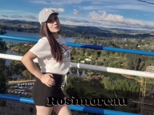 Rosimoreau