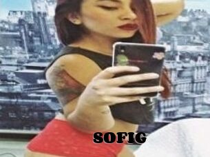 SOFI_G