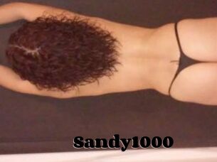 Sandy1000