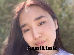 SaniLink