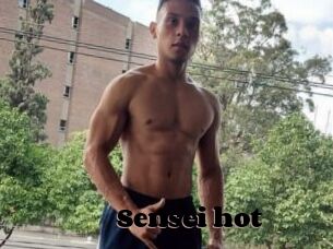 Sensei_hot