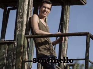 Sentinello