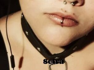 Setra