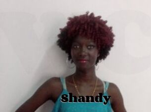 Shandy