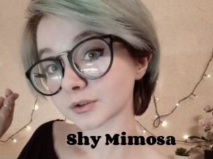 Shy_Mimosa