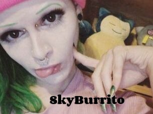 SkyBurrito