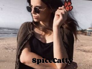SpiceCatty