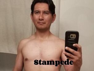 Stampede