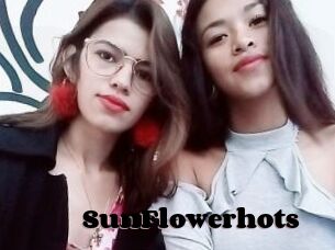 SunFlowerhots