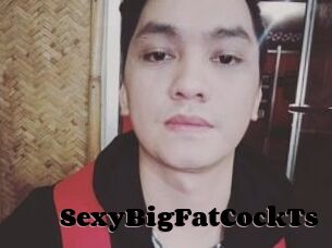 _SexyBigFatCockTs_