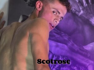 Scotrose