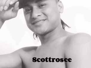 Scottrosee