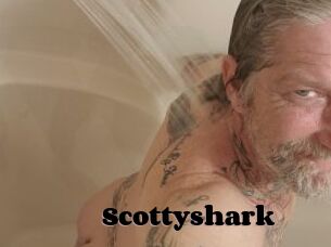 Scottyshark
