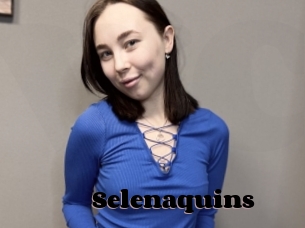 Selenaquins