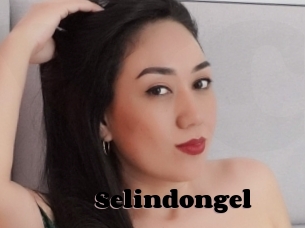 Selindongel