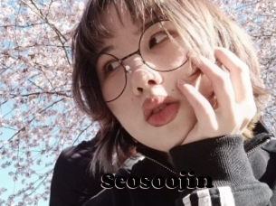 Seosoojin