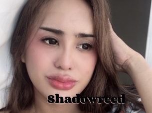 Shadowreed