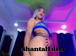 Shantall_dior