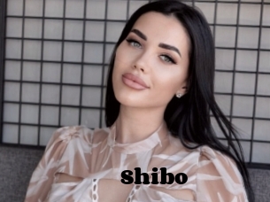 Shibo