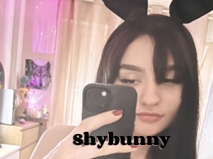 Shybunny