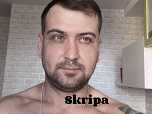Skripa