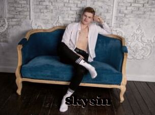 Skysin