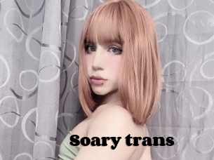 Soary_trans
