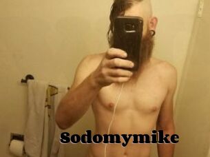 Sodomymike