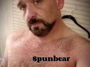 Spunbear