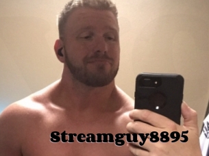 Streamguy8895