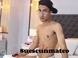 Suescunmateo