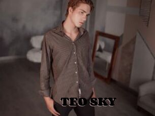 TEO_SKY