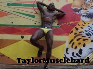 TaylorMusclehard