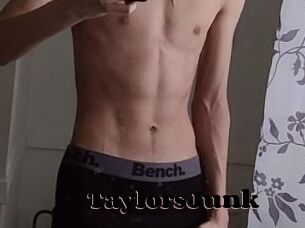 TaylorsJunk