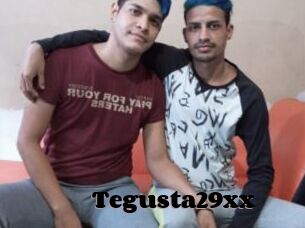 Tegusta29xx