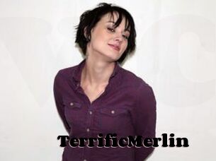 TerrificMerlin