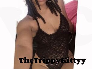 TheTrippyKittyy