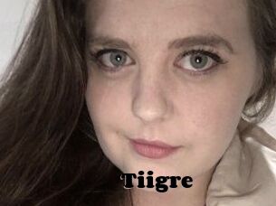Tiigre_