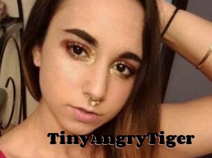 TinyAngryTiger