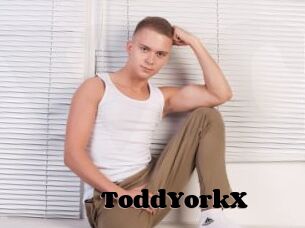 ToddYorkX