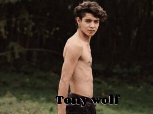 Tony_wolf