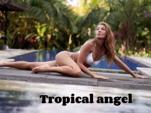 Tropical_angel