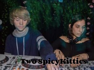 Two_SpicyKitties