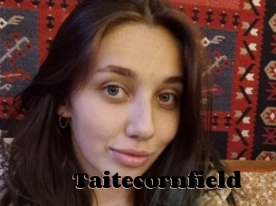 Taitecornfield
