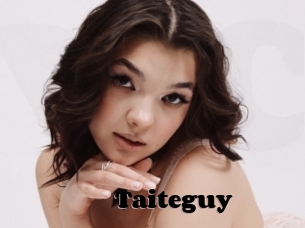 Taiteguy