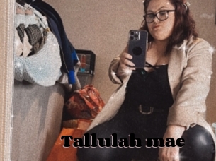 Tallulah_mae