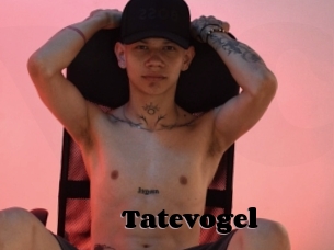 Tatevogel