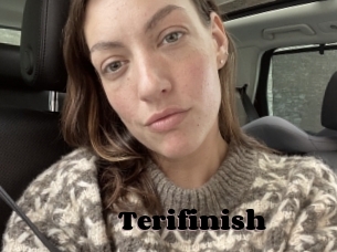 Terifinish