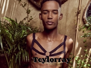 Teylorray